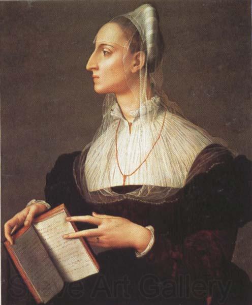 Agnolo Bronzino Laura Battiferri (mk45)